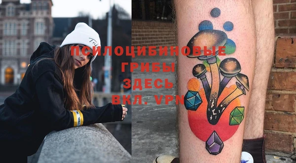 ПСИЛОЦИБИНОВЫЕ ГРИБЫ Абдулино