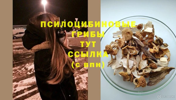 ПСИЛОЦИБИНОВЫЕ ГРИБЫ Абдулино