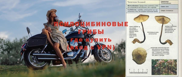 ПСИЛОЦИБИНОВЫЕ ГРИБЫ Абдулино