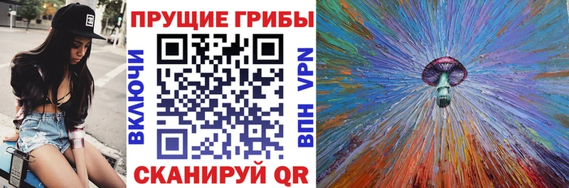omg вход  закладки  Архангельск  Псилоцибиновые грибы Cubensis 